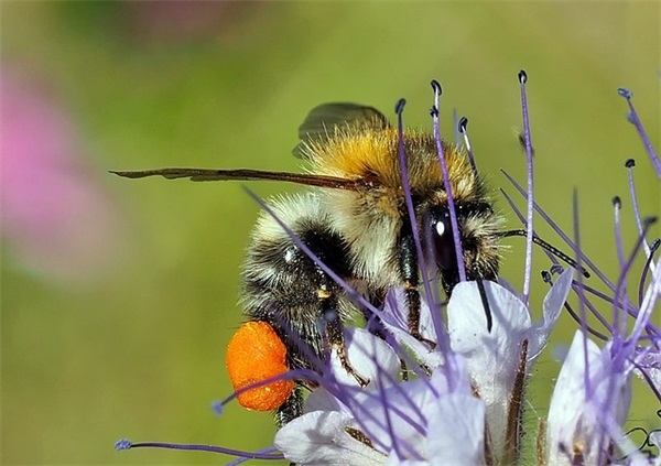 想念人伤感的句子 想念人心酸的语句