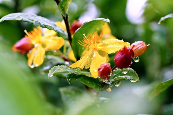 形容孩子长大了的感慨句子 形容孩子长大了的感慨句子