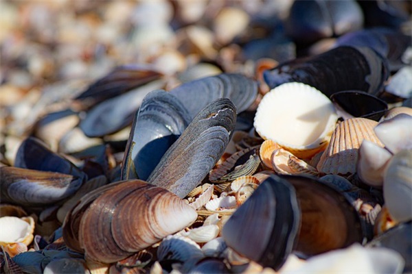 最新的有关热爱生命的句子大全(关于热爱生命的句子)