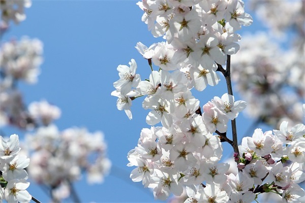 新的一年新的开始正能量句子