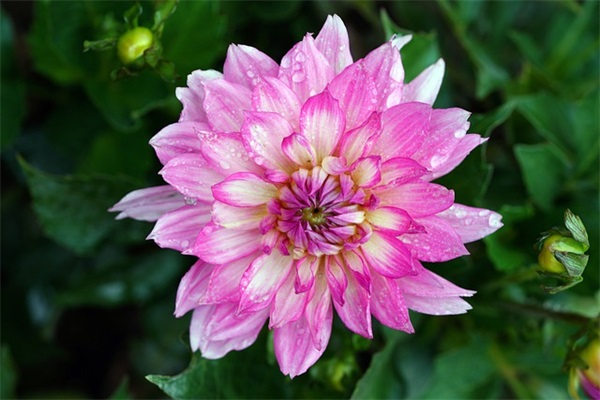 经典版生日快乐祝福语