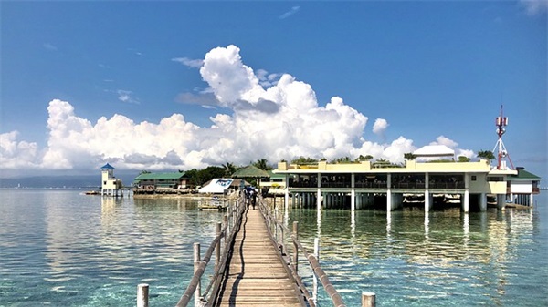 给侄女的结婚祝福语 送给侄女的祝福语 给侄女的结婚祝福语 送给侄女的祝福语