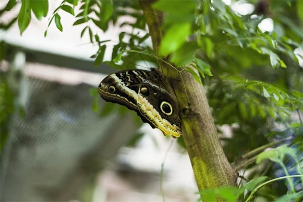 2026年新郎新娘的祝福语57句 2026年新郎新娘的祝福语57句