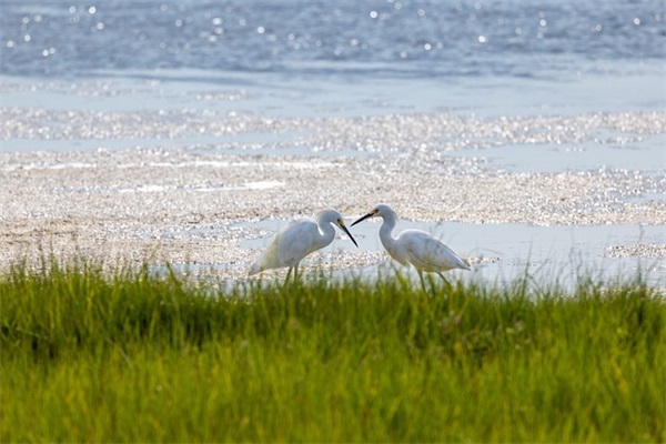 送给3岁宝宝的生日祝福语