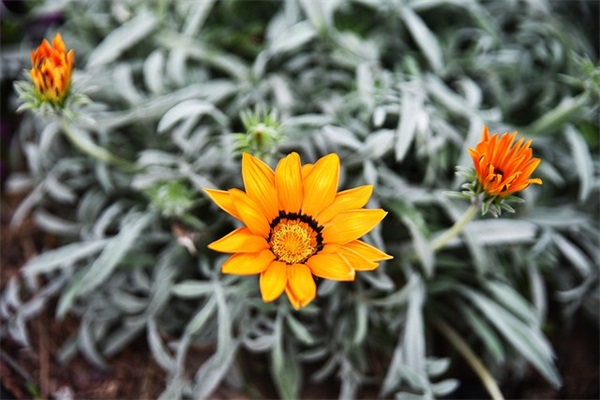 中考给初三考生的正能量激励语 初三考生中考加油祝福语 中考给初三考生的正能量激励语 初三考生中考加油祝福语