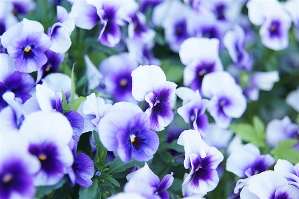 退休欢送会祝福语 教师退休欢送会祝福语 退休欢送会祝福语 教师退休欢送会祝福语