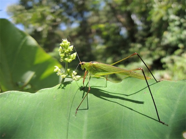 新年祝福语2026年给孩子31句