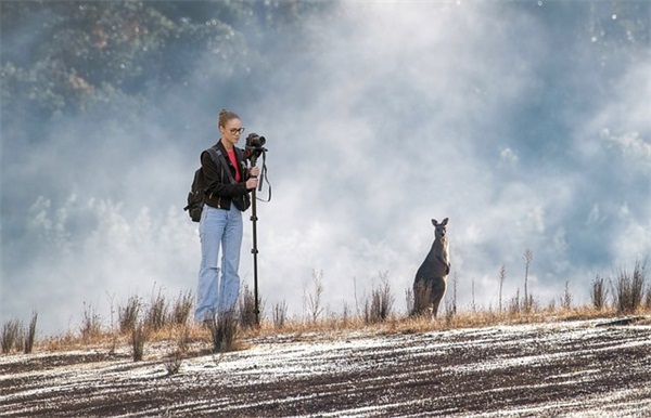 描绘景色好的句子大全