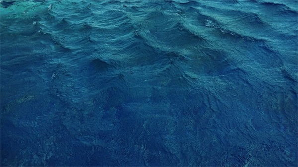 比喻春天的花 比喻春天的花的句子