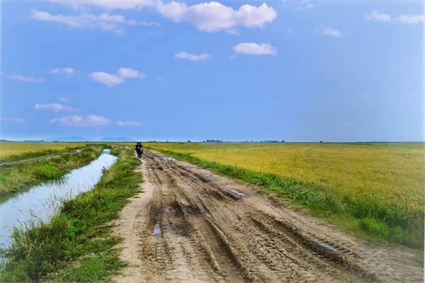 描写春天的句子摘录