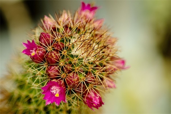 专治嘴贱的句子霸气(关于警告背后议论人的句子)