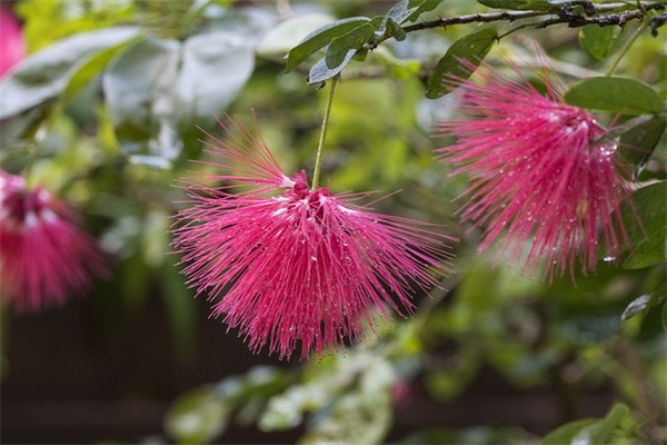 关于生活中正能量的句子