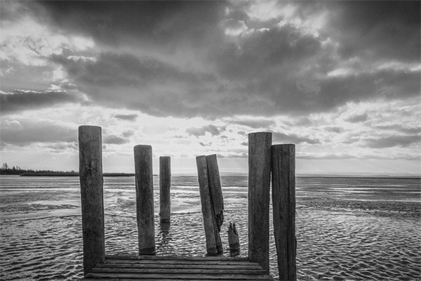 美好心情的优美句子 描写心情优美的句子