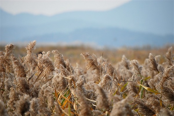 对老公彻底失望的句子 对老公失望心冷的句子