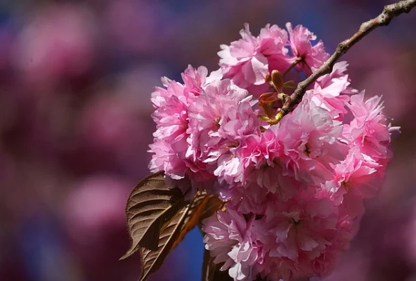 搞笑的生日句子 过生日搞笑的句子