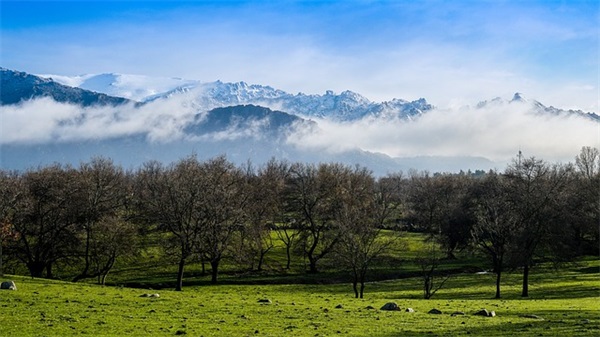 关于心情不好的句子有哪些