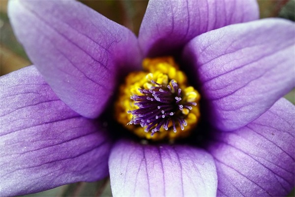 吐槽熊孩子的句子 形容熊孩子的句子 吐槽熊孩子的句子 形容熊孩子的句子