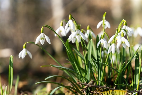 关于夫妻感情不合的伤感的句子