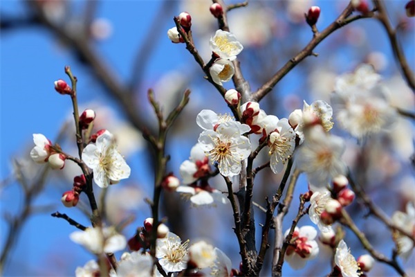 关于陪孩子玩开心的句子