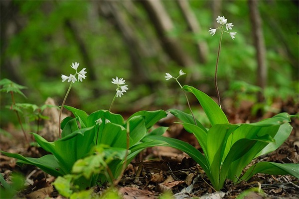 努力正能量句子一句话(求几句特别励志,有正能量的句子) 努力正能量句子一句话(求几句特别励志,有正能量的句子)