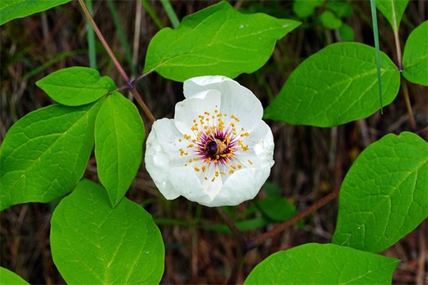 总结人生感悟的句子 总结人生感悟的句子