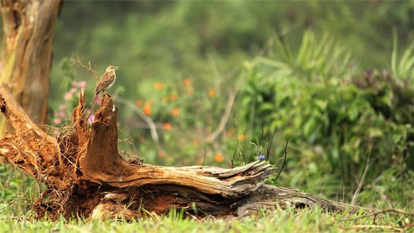 传送正能量的句子 传送正能量