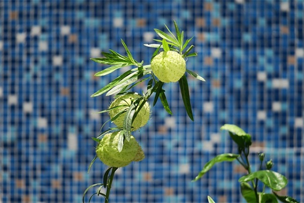 光穿透云层的励志句子大全(阳光冲破云层的励志句子)