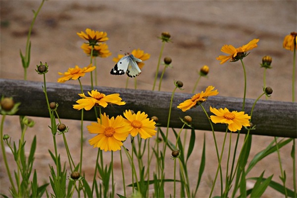 适合深夜一个人的句子 适合深夜一个人的句子