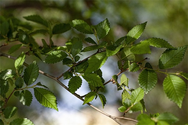 心痛的无法呼吸的句子 心痛的句子让人流泪