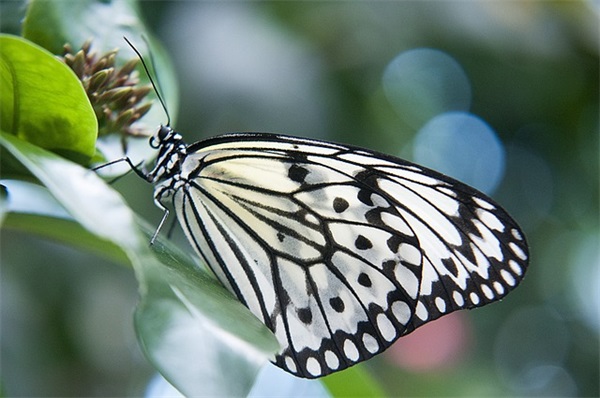 形容孩子般的童真句子 描写孩子天真的句子