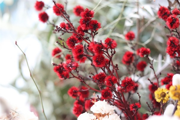 结束4月迎接5月的句子(告别4月迎接5月的激励句子)