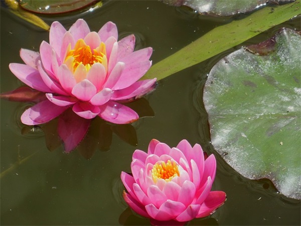 坚持目标的正能量句子 坚持奋斗的正能量句子