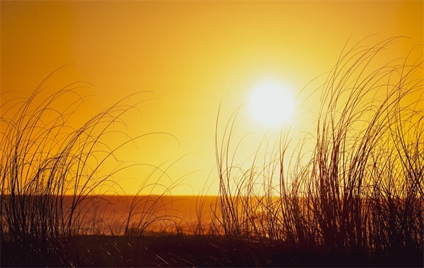 重阳节优美句子简短儿童 重阳节优美句子简短