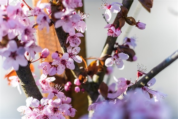 深夜睡不着发的句子 晚安短句致自己一句话 深夜睡不着发的句子 晚安短句致自己一句话