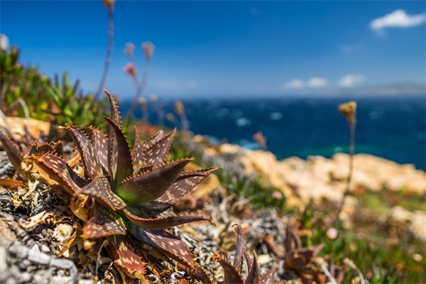父亲节的简短句子44句 父亲节的简短句子44句