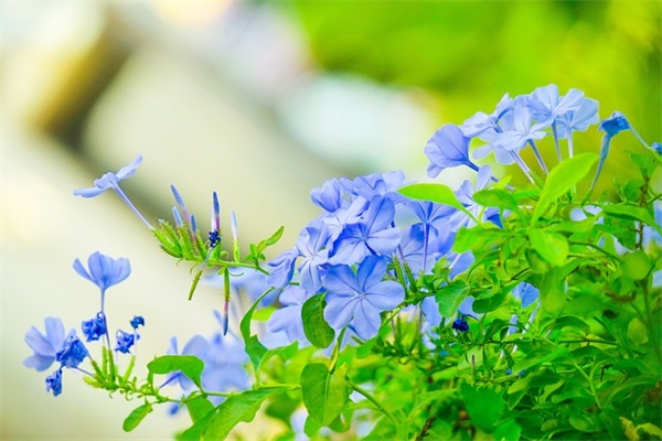 适合心情低落时的句子 用沉默代替一切的句子