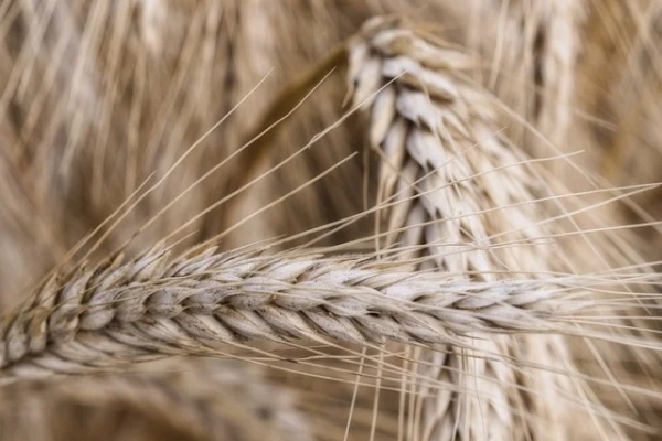 早上满满的正能量句子