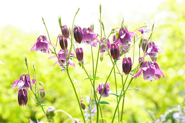 形容伤心的句子 形容伤心的句子神态描写 形容伤心的句子 形容伤心的句子神态描写