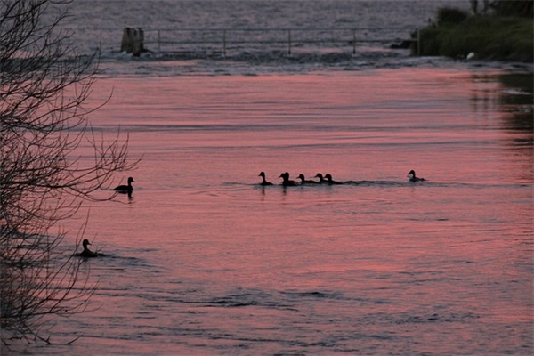 激励人读书的句子 激励人读书的句子