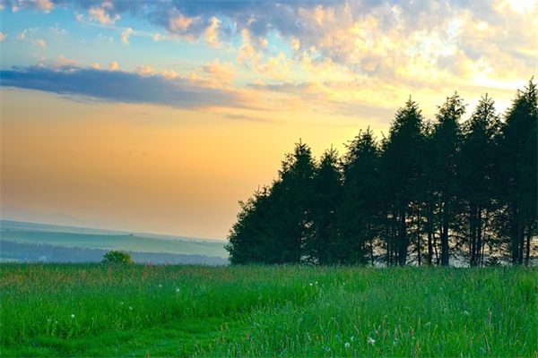 俏皮可爱的晚安句子 简短的晚安小语句精选 俏皮可爱的晚安句子 简短的晚安小语句精选
