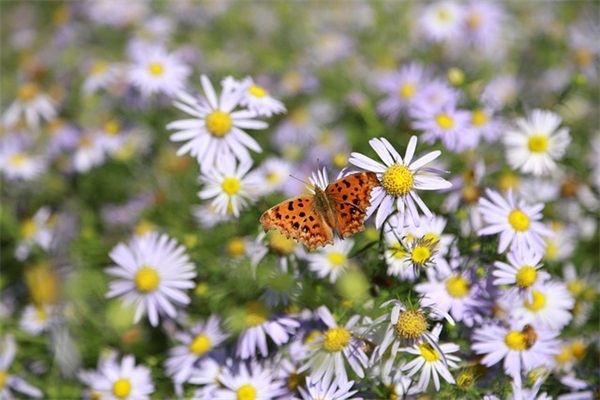 按摩店开业祝福语 按摩店开业祝福语