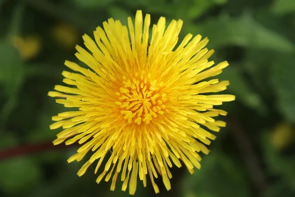 圣诞英语祝福语 圣诞英语祝福语