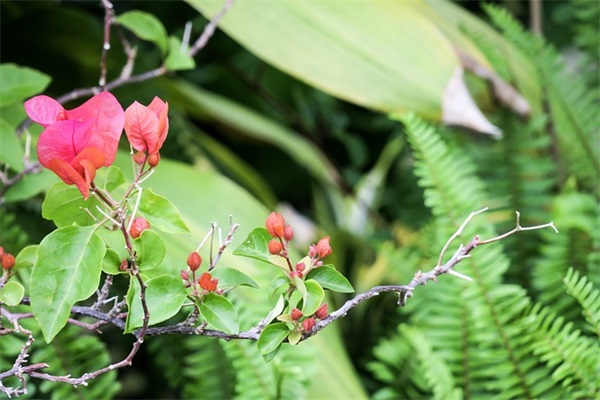 祝自己生日快乐开心简短独特祝福语 祝自己生日快乐开心简短独特祝福语