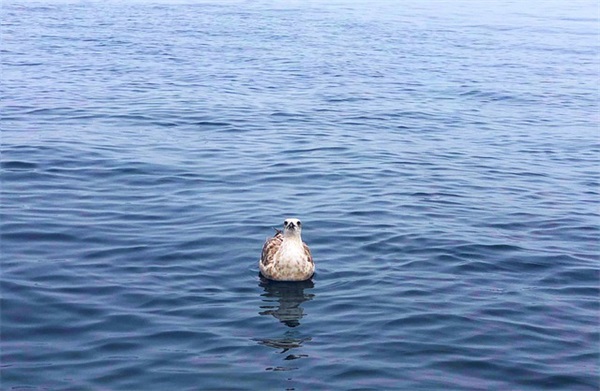 2026庆祝平安夜经典欢乐祝福语 送给好朋友的平安夜祝福语