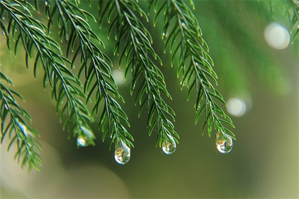 给书画老师新年祝福语 写给书法老师的祝福语