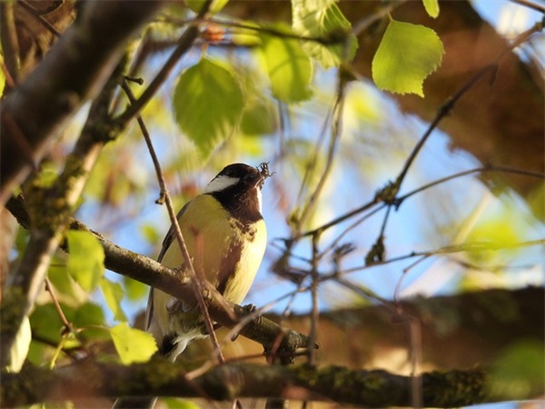 八字的句子霸气十足80句