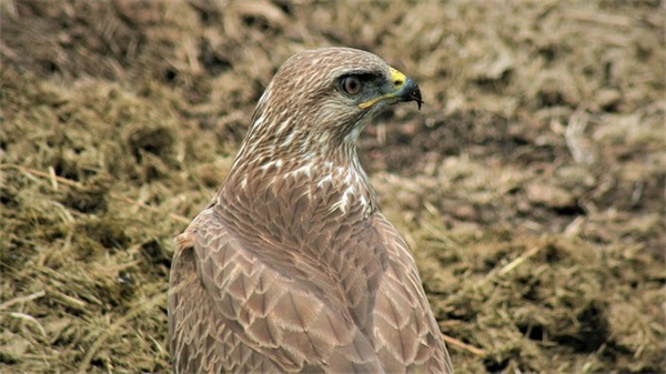 坚持拼搏的励志句子