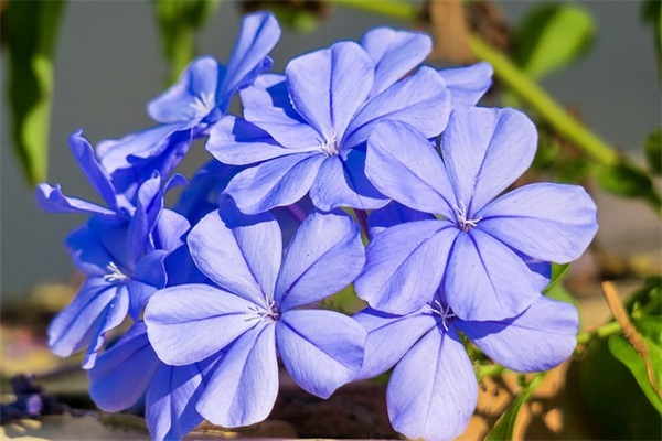 努力变强的励志句子