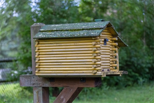 思念一个人的句子