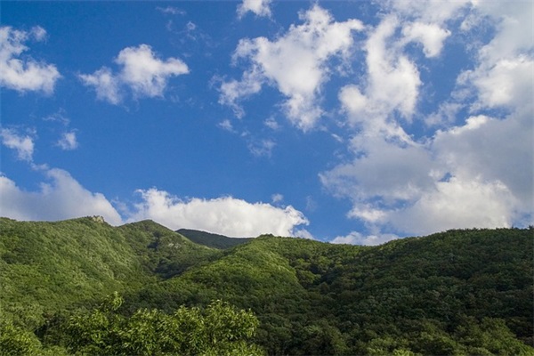 爱意满满的句子 爱意满满的句子